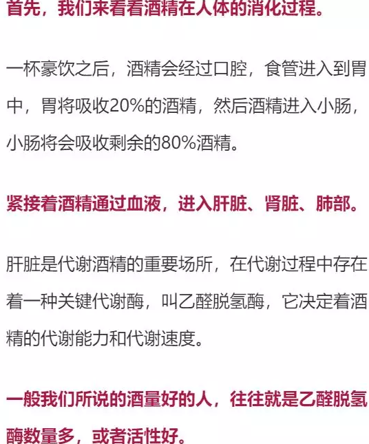喝多少酒開車算酒駕？喝完酒多久能開車？這組數(shù)據(jù)，都說明白了